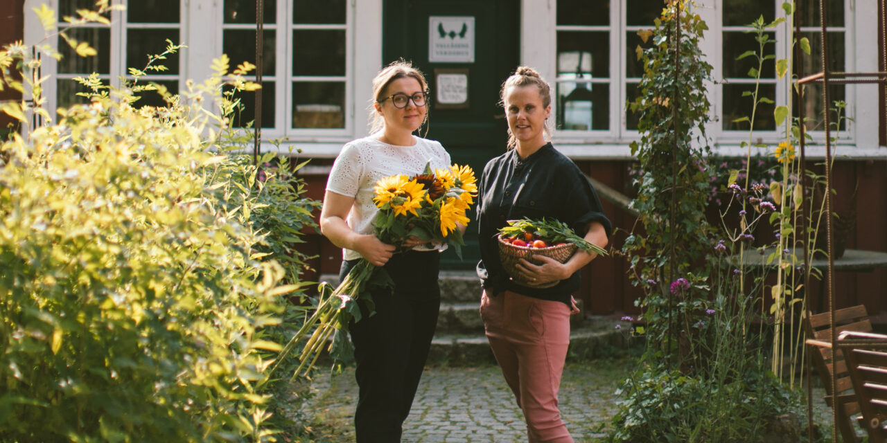 Mat och kärlek i skogen