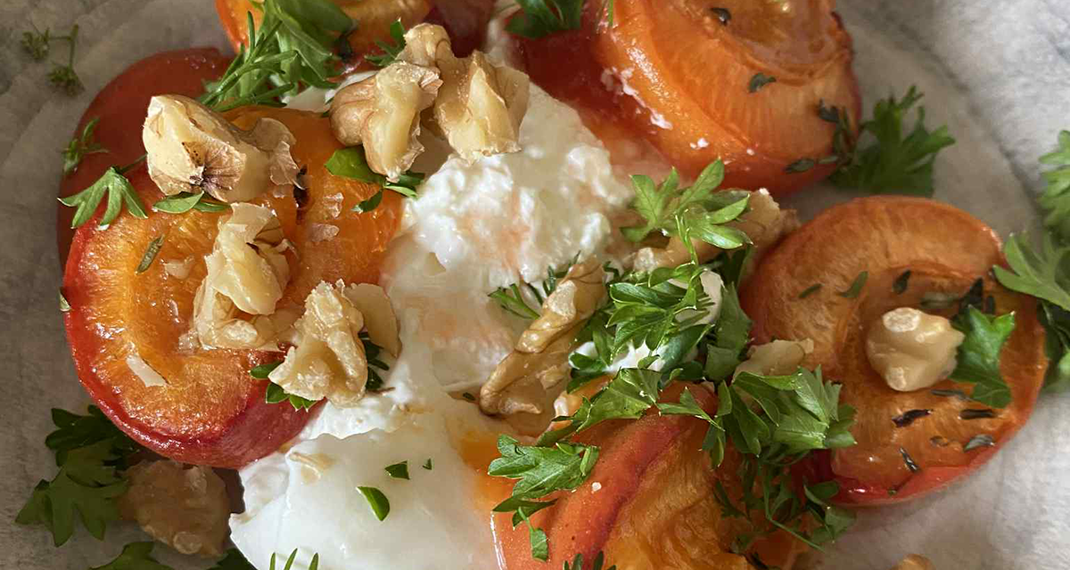 Ungsbakade aprikoser med burrata